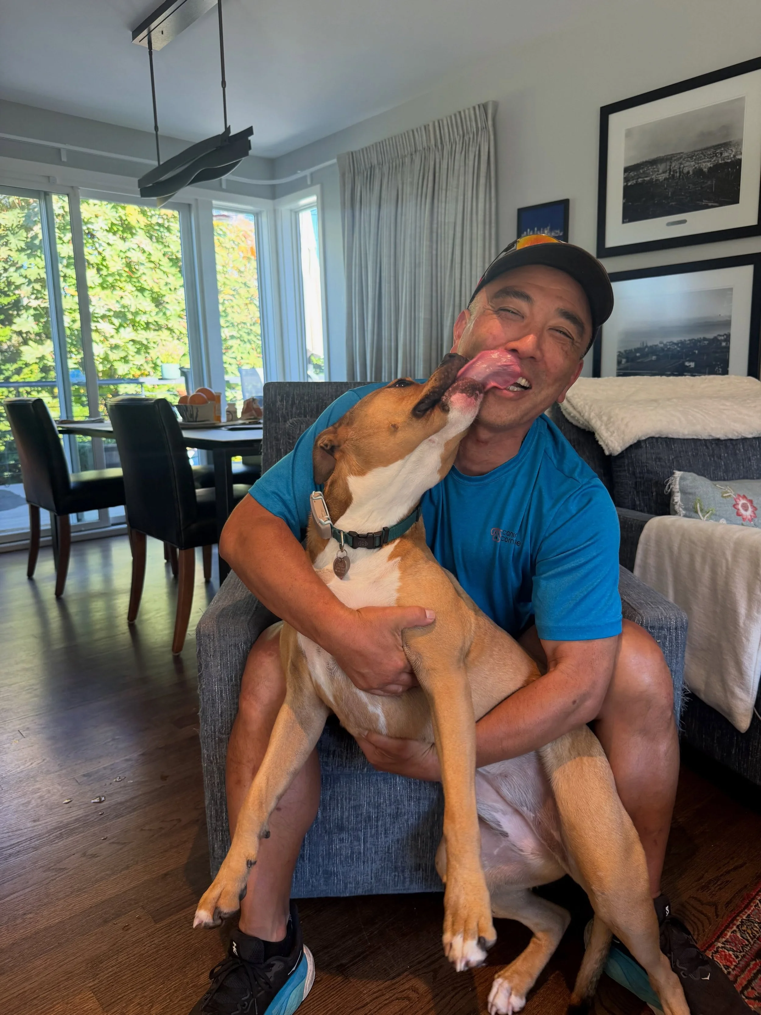 Here&rsquo;s Juno! A 22 mo old Pitbull/Boxer mix whose arousal and terrier tendencies leads to more excitement, mugging and fixation to food and stimulation.  Her internal needs to enrich and build satisfaction will impact so many other behaviors lik