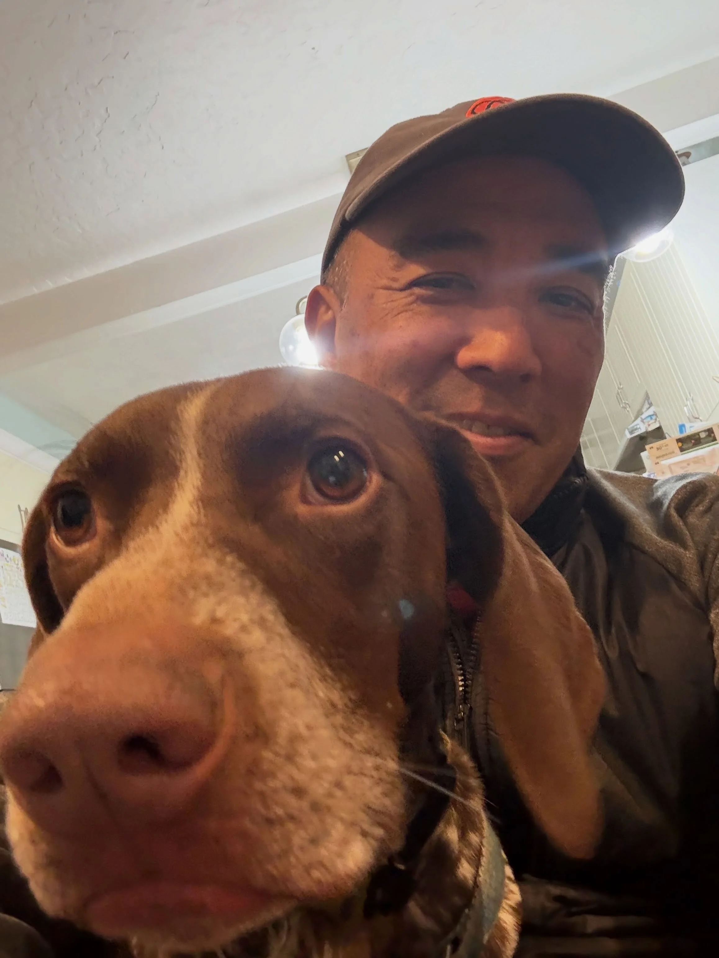 Here&rsquo;s Leisl! A 3 yr old German Short Haired Pointer who loves to jump on people (especially from behind), barking at the window and pulling on his leash during walks. Educating owners how to reinforce delayed gratification, remove toys to slow