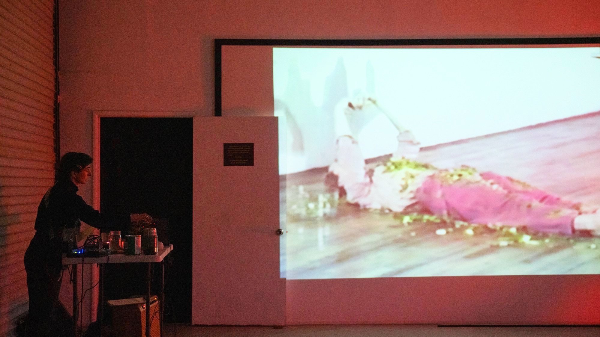 DSC08426-wb.jpg