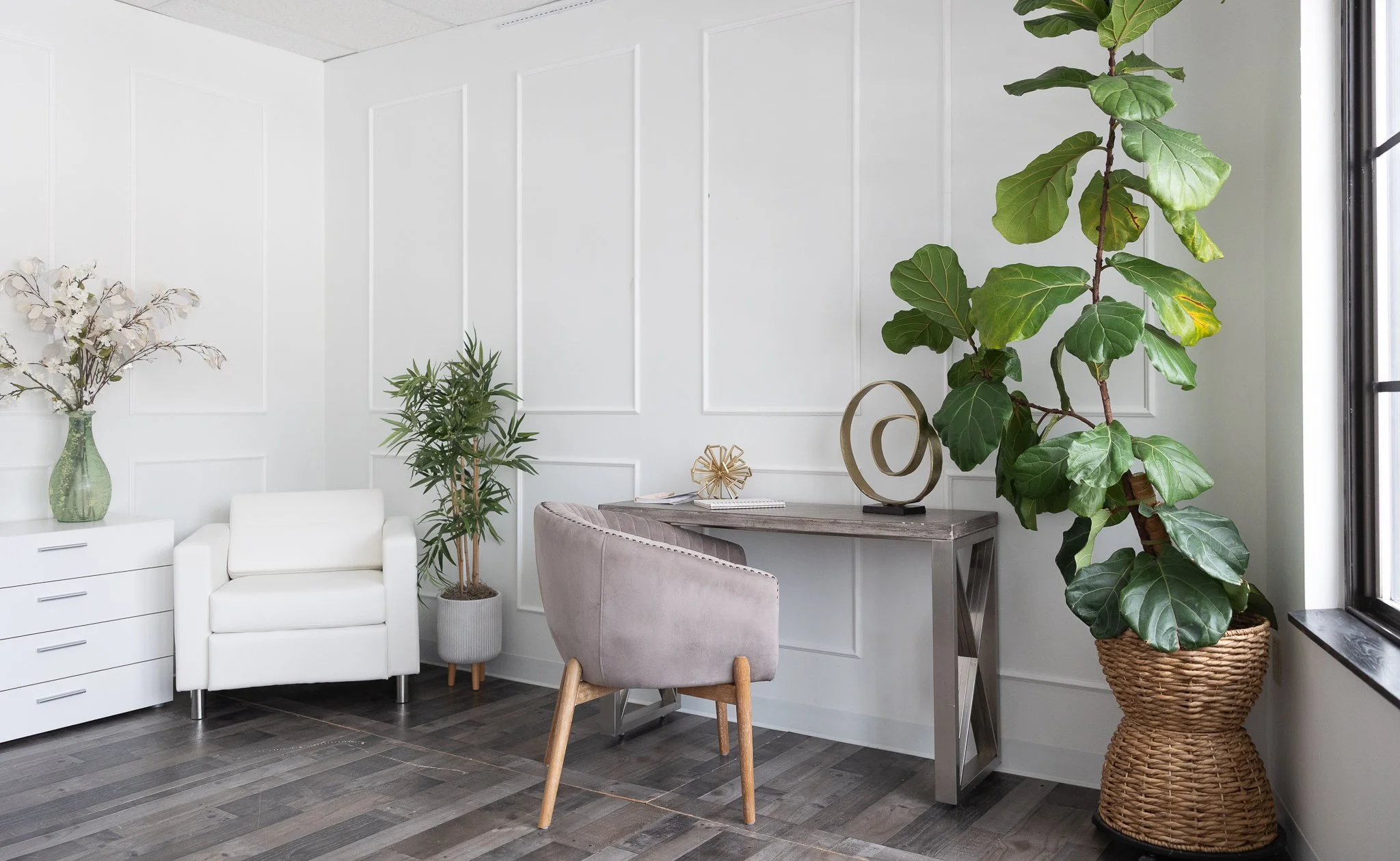 Back Room - Beautiful natural light!