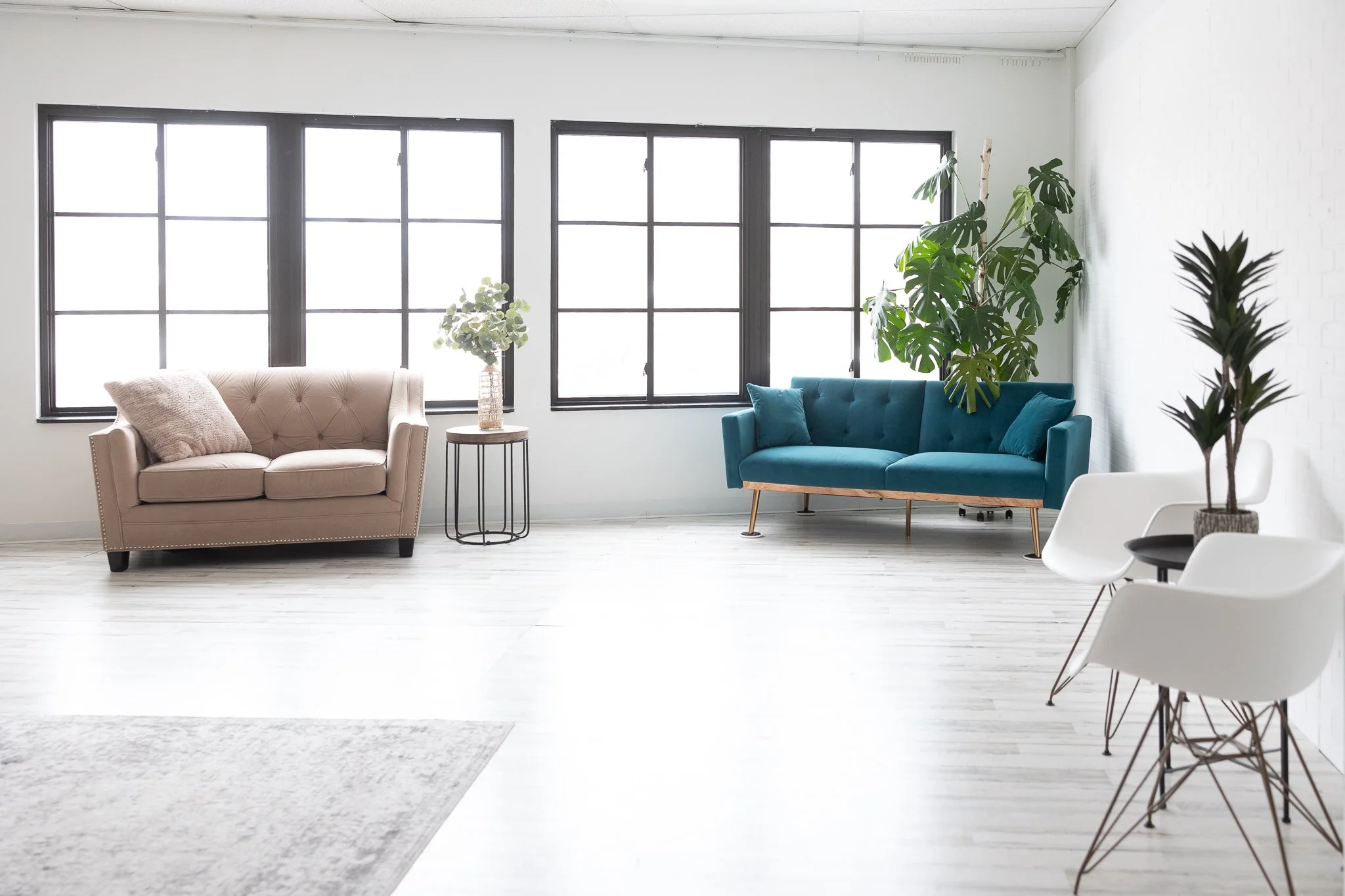 Middle Room - Tons of natural light!