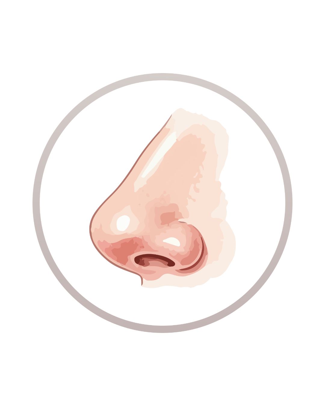 Illustration of a human nose with a neutral background