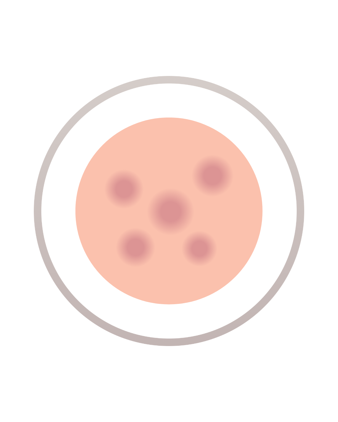 Illustration of a petri dish with several pinkish bacteria colonies.