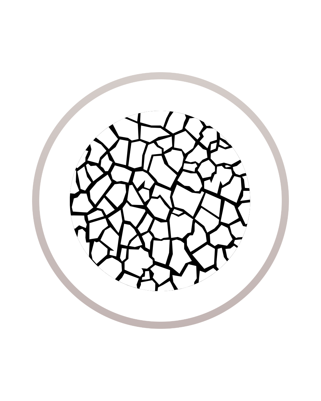 A circular object resembling a cracked surface or pattern, surrounded by a light gray ring on a white background.