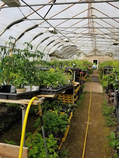 Edible Landscaping (Copy)