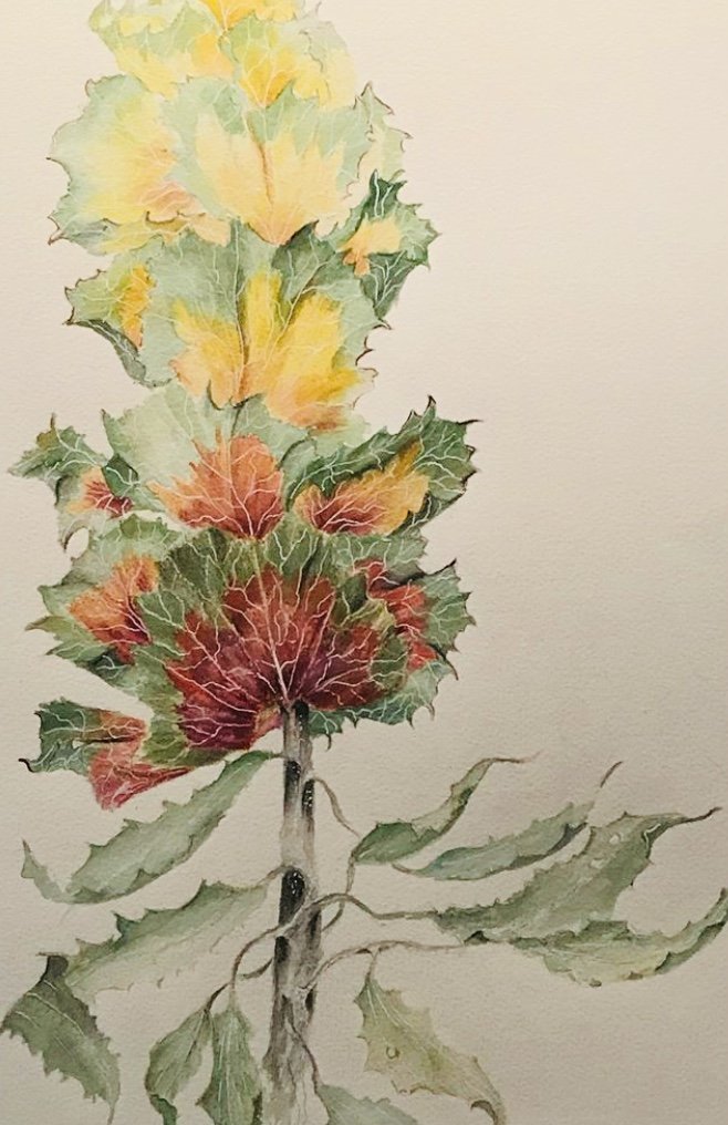Fleur May ARTWORK 1.jpeg