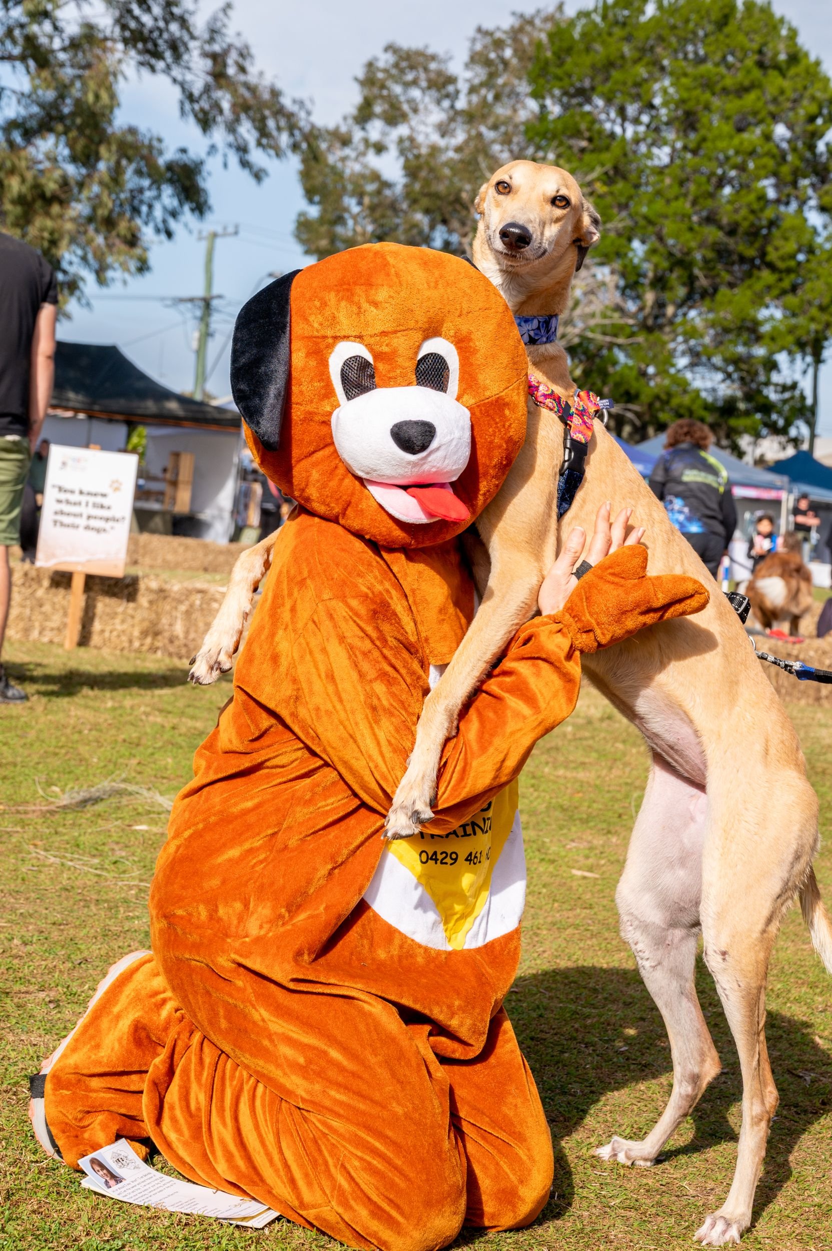 ADL Heel Sit Stay.jpeg