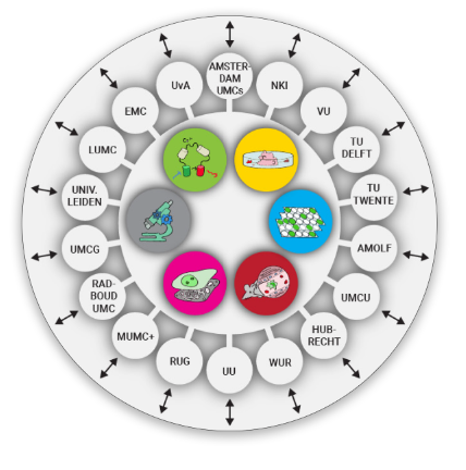 NL Bioimaging AM receives 25M funding from NWO