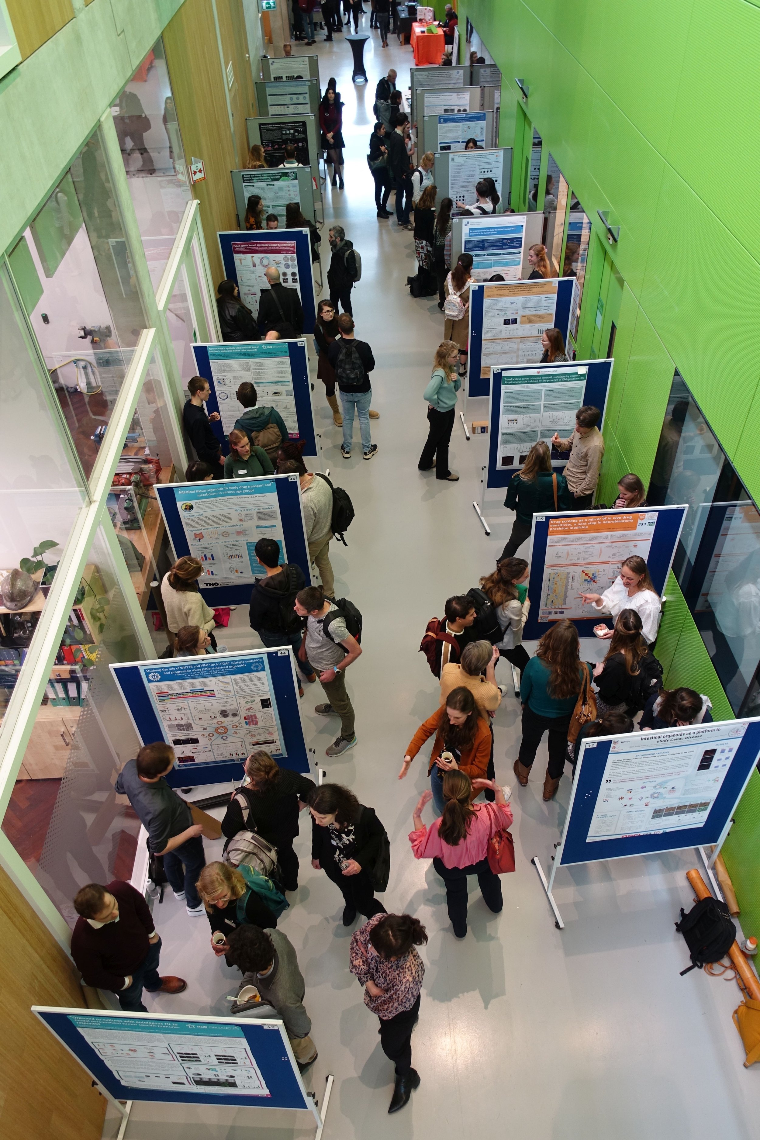 OrganoidNL 2023: A successful showcase of organoid research in the Netherlands