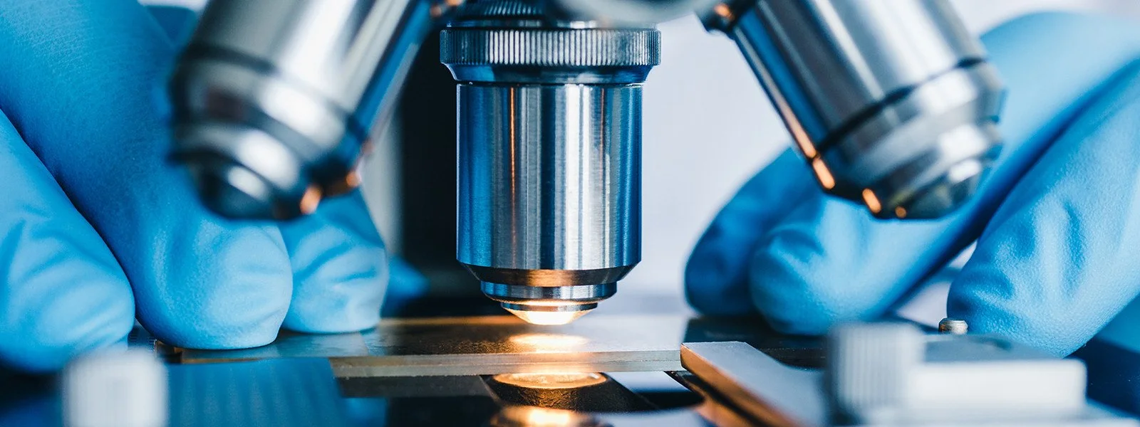 KWF grants for Martijn Gloerich and Boudewijn Burgering