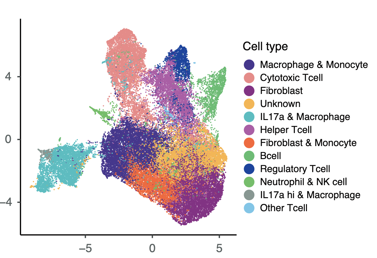 The Vercoulen lab publishes new findings on CD8+ T-cell localization patterns in colorectal cancer tissue