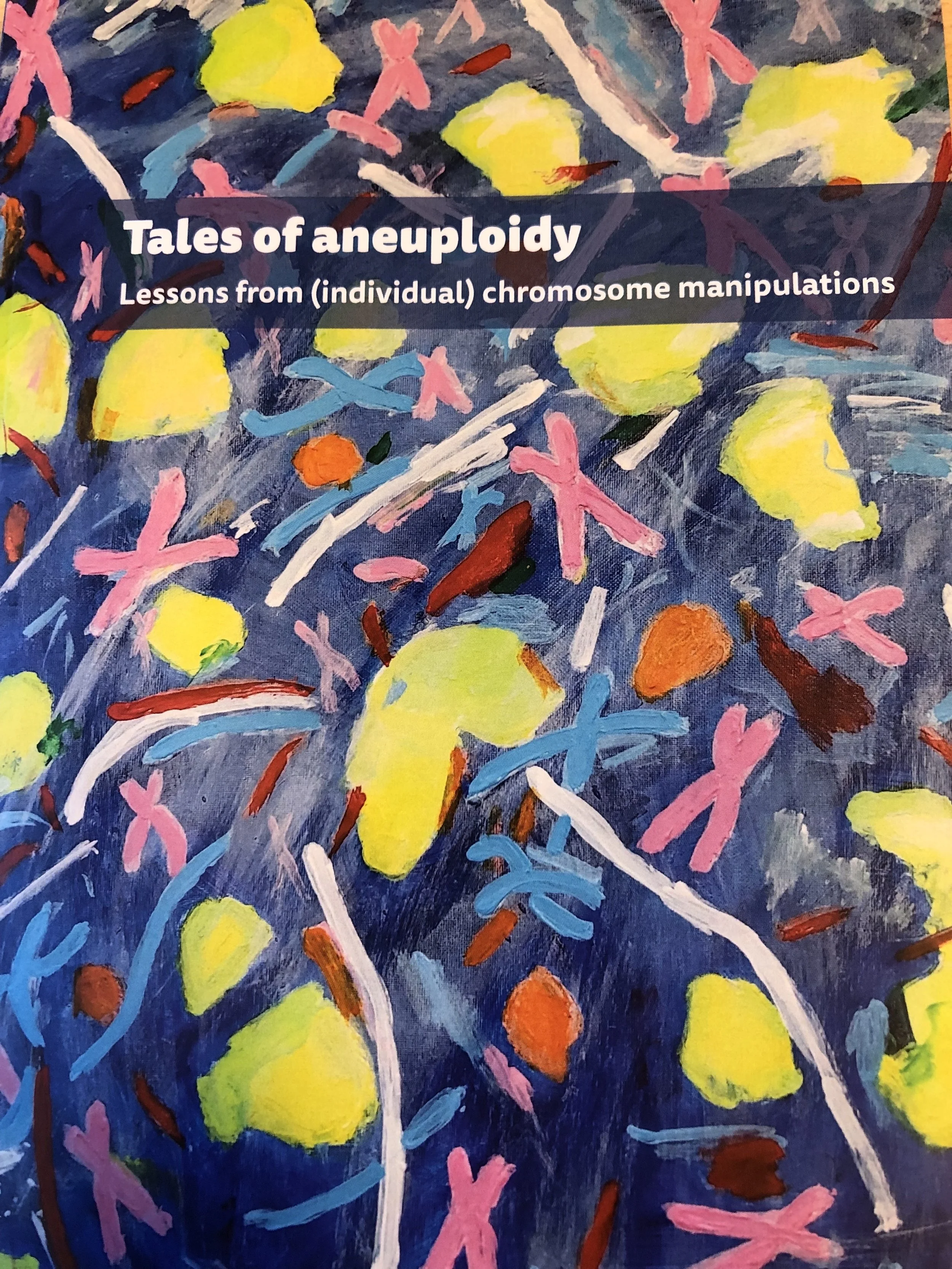 My Anh Truong (Lens lab) successfully defended her PhD thesis ‘Tales of aneuploidy: lessons from (individual) chromosome manipulations'. Congratulations Dr. Truong!