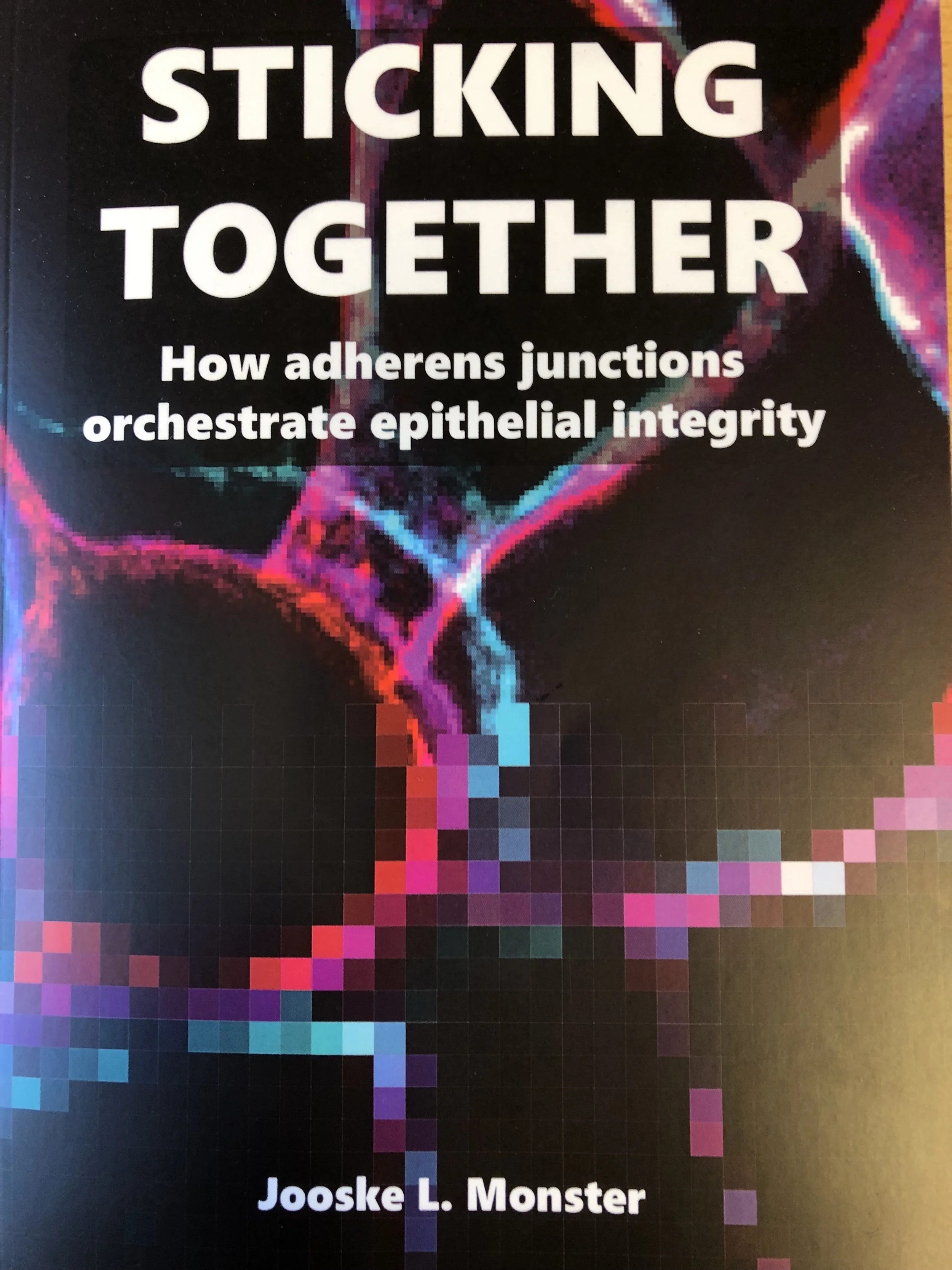 Jooske Monster (Gloerich lab) successfully defended her PhD thesis ‘Sticking together: How adherens junctions orchestrate epithelial integrity'. Congratulations Dr. Monster!