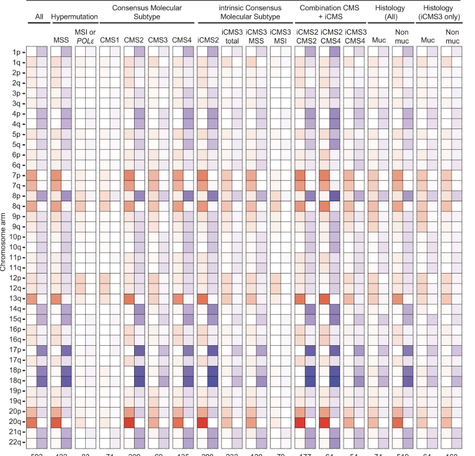 Irene Zaalberg and Susanne Lens publish review on aneuploidy patterns in colorectal cancer