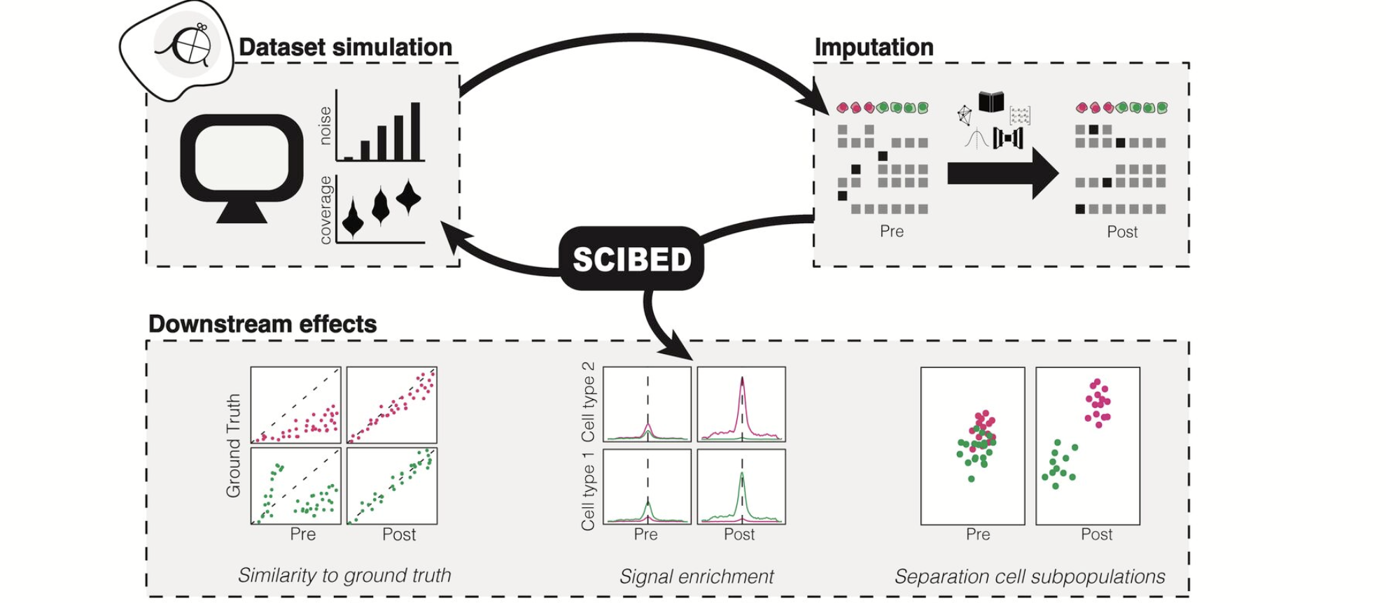 Marta Moreno-González, under supervision of Robin van der Weide, incoming PI at CMM, published a computational framework to dissect imputation strategies for single-cell histone modification data. 