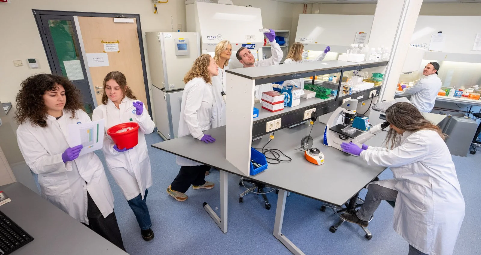 Madelon Maurice (principal investigator at CMM), Laigo Bio and collaborators receive EIC Pathfinder grant for novel precision strategy in cancer treatment.