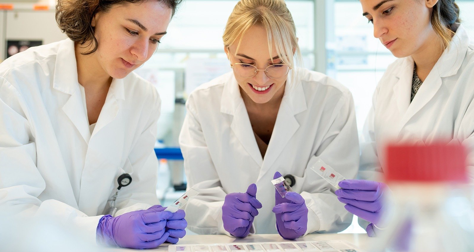 Three CMM research teams; Saskia van Mil, Martijn Gloerich and Boudewijn Burgering, receive a ZonMW Open Competition Grant. 