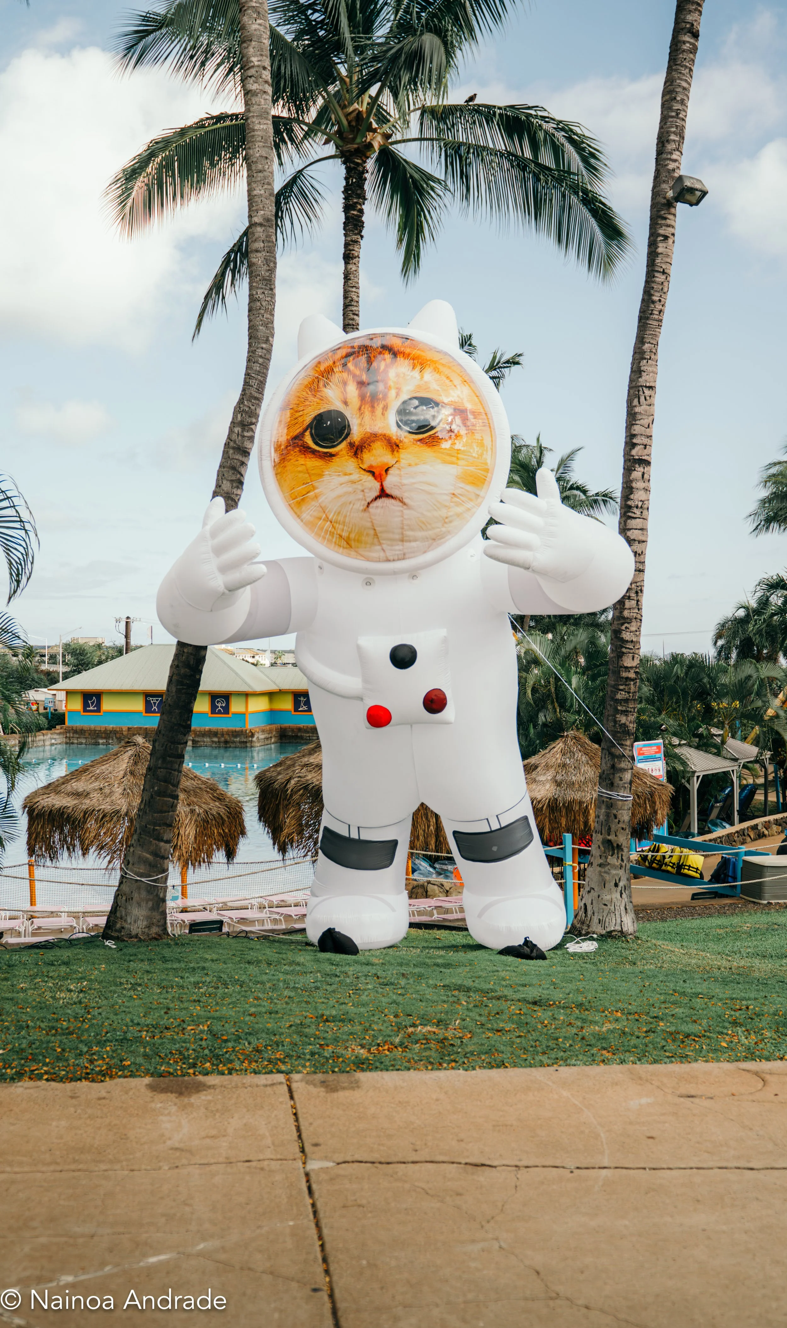 Website Illenium-31.jpg