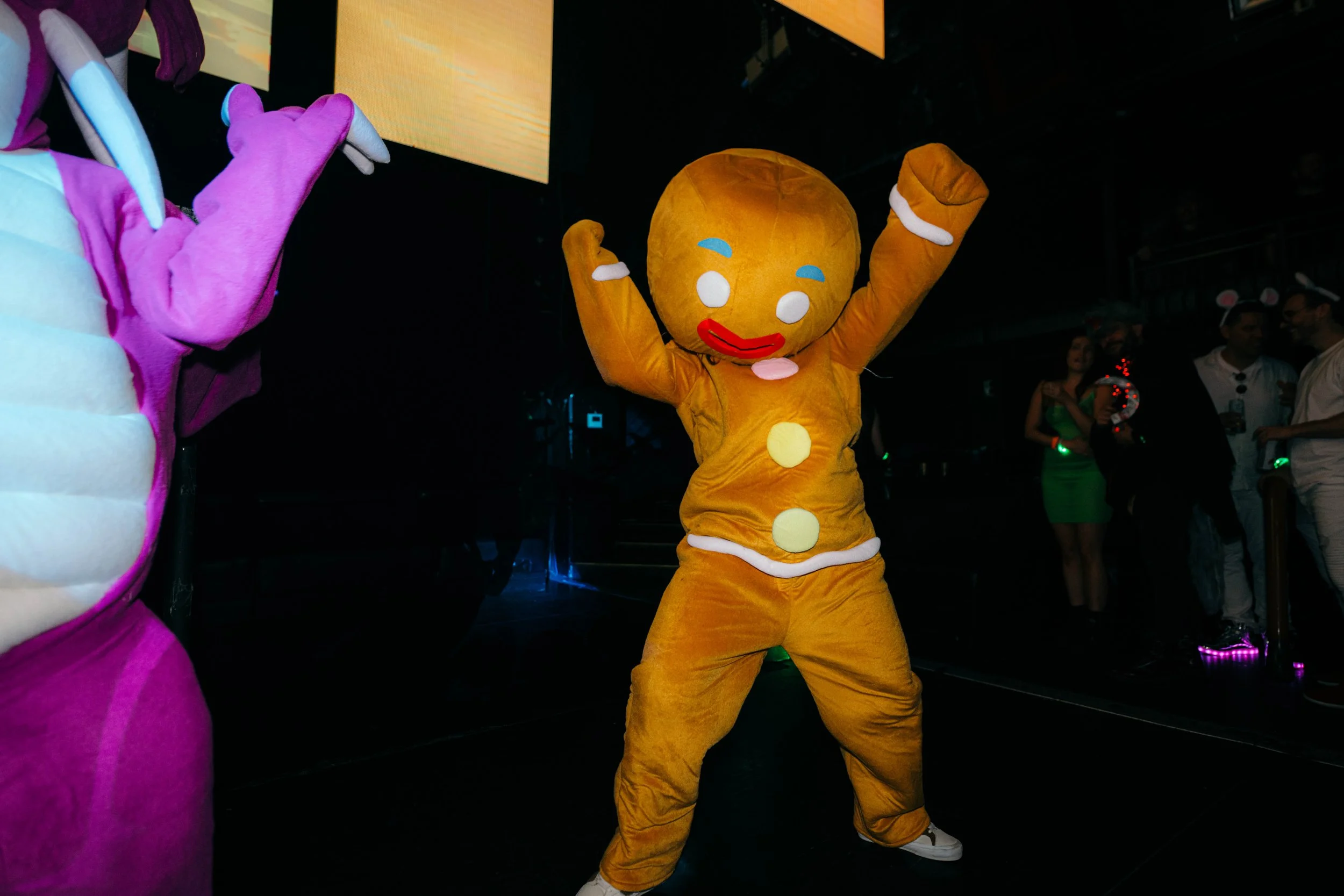 Shrek Rave Avalon July 2023-40.jpg