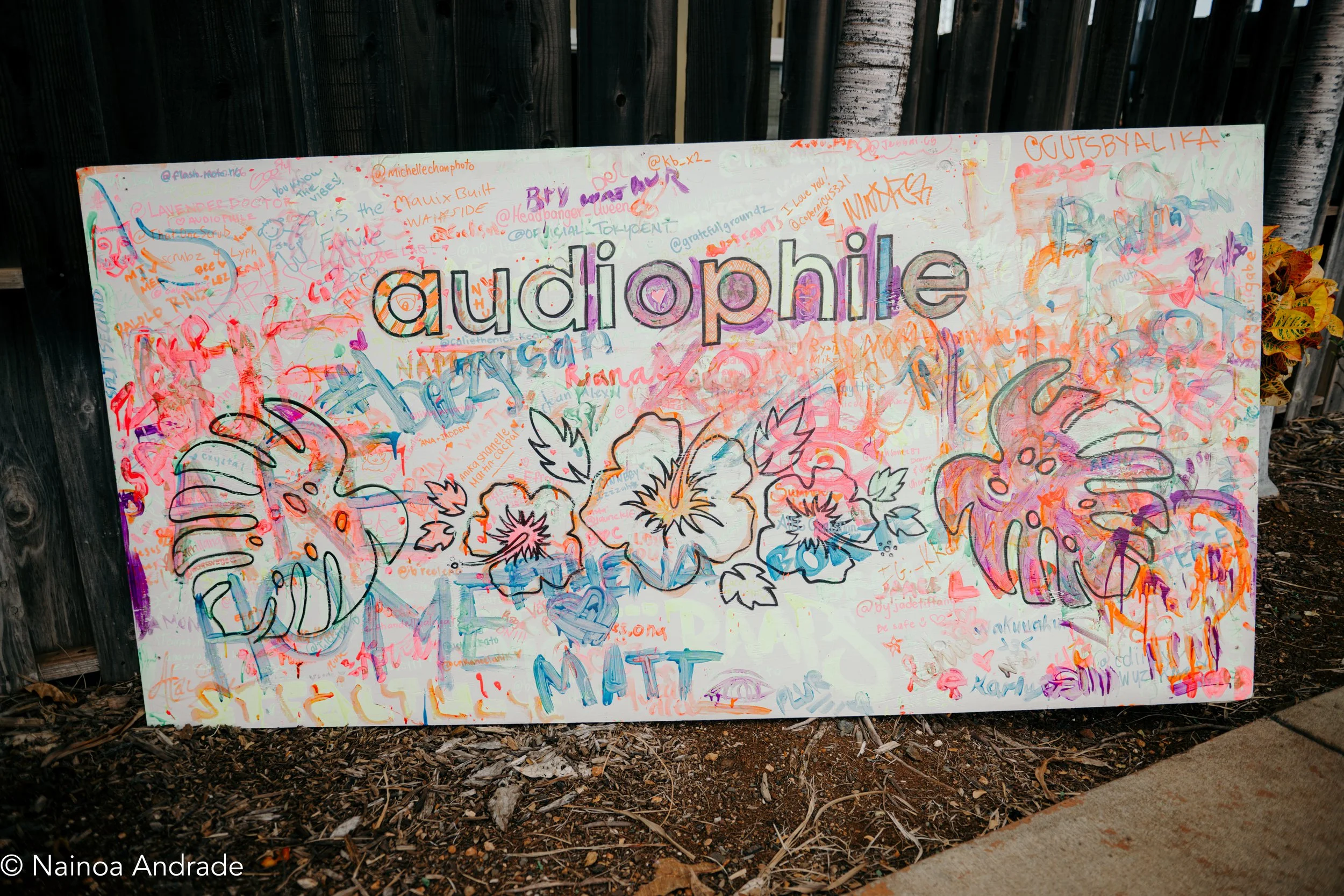 Website Illenium-49.jpg