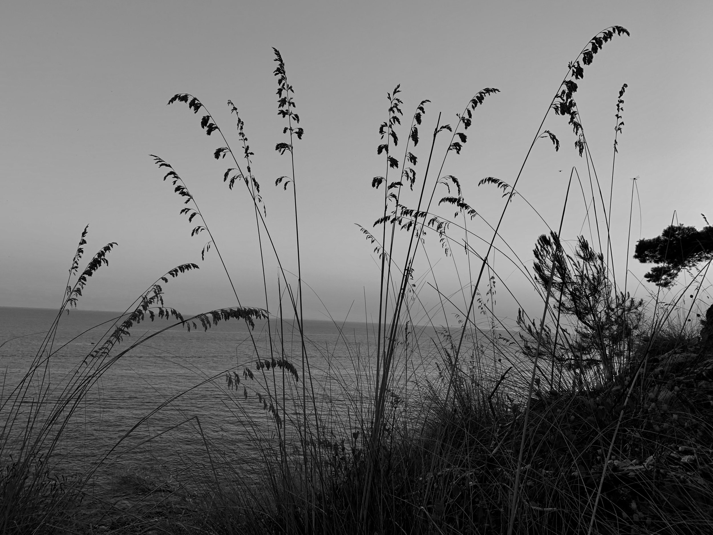 IMG_4079.jpeg