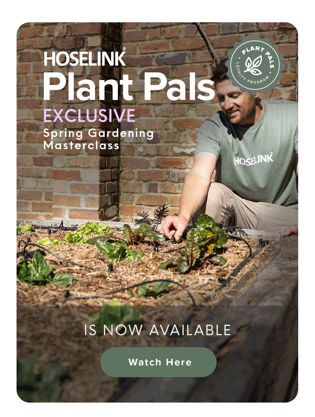 Email-Loyalty-Main-Banner---Spring-Masterclass_GIF.gif
