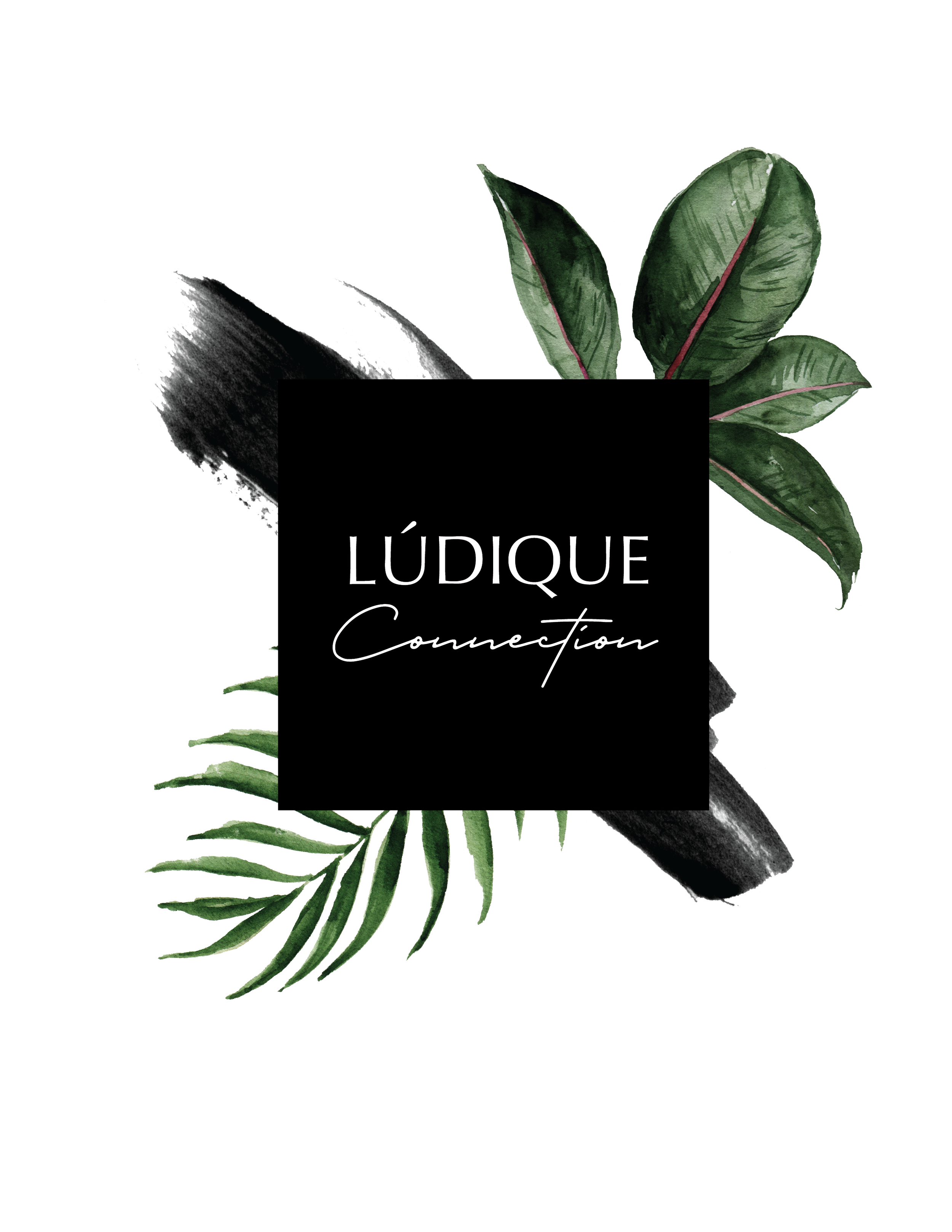 LUDIQUE - Logo Ludique Connection-01.png