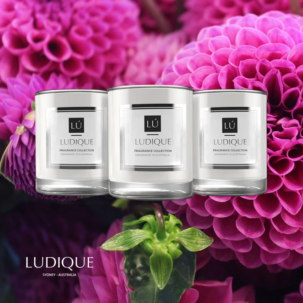 candles_photoTRIO_blanco.jpg