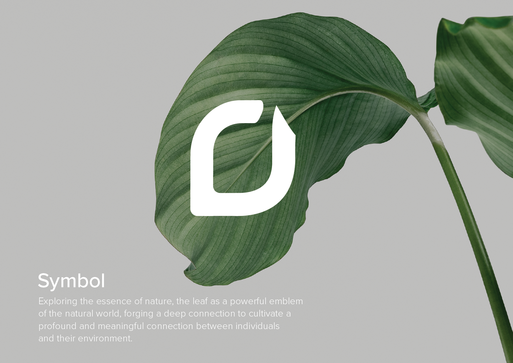 Evolve Logo OPTION 06_Final-17.png