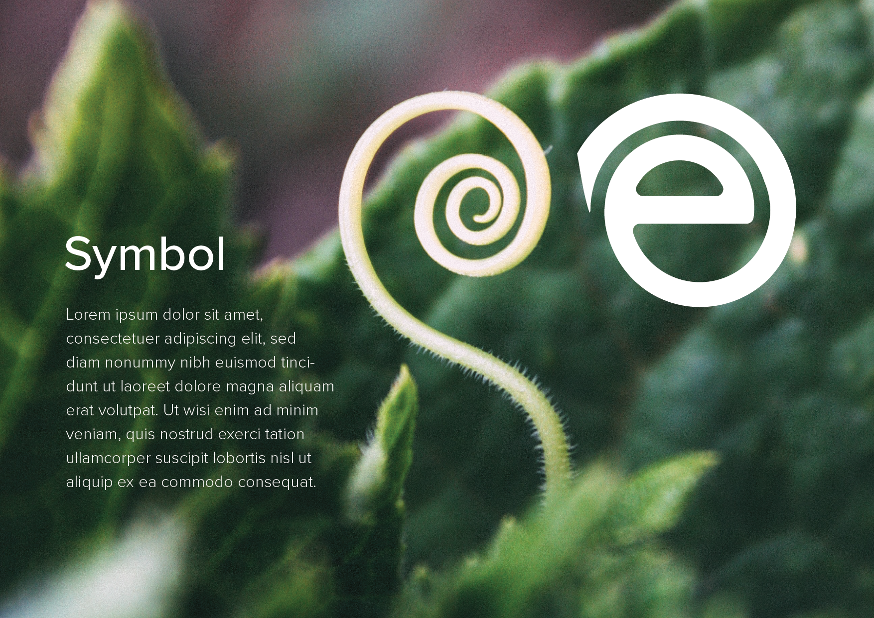Evolve Logo OPTION 06-19.png