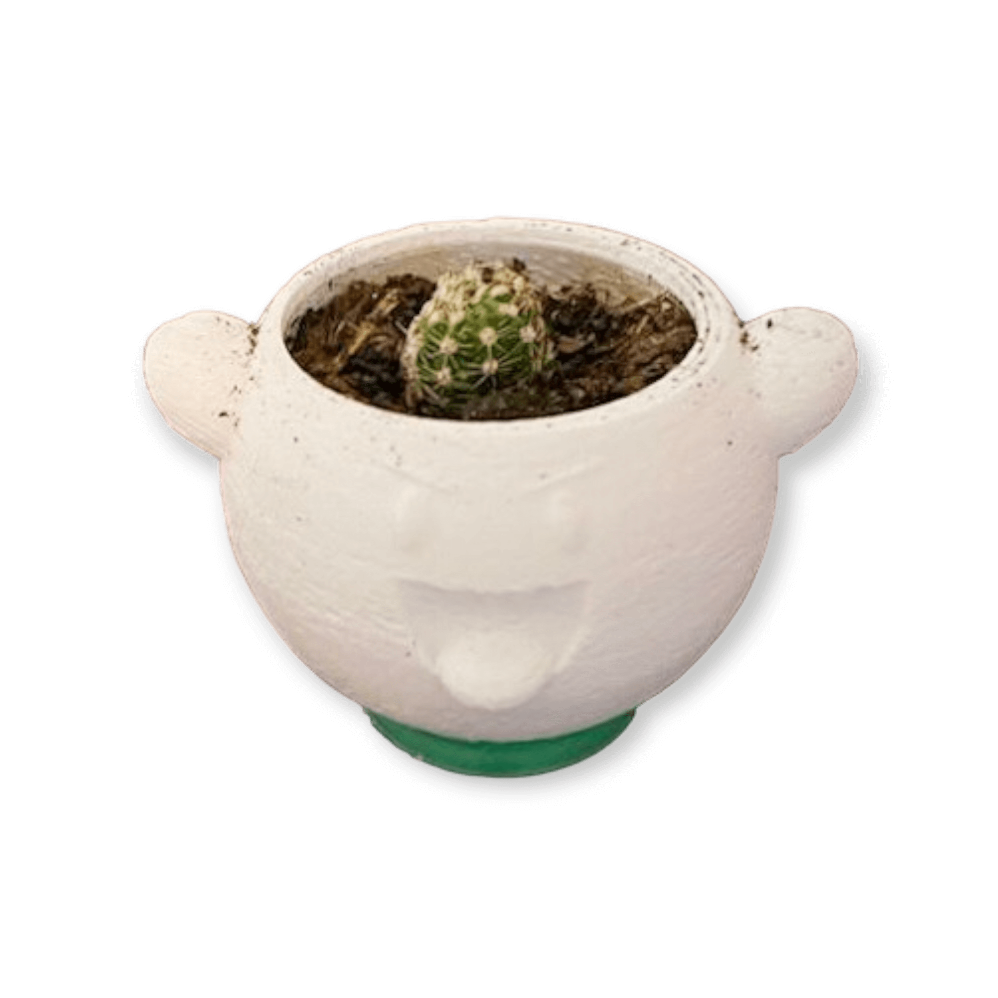boo planter2.png
