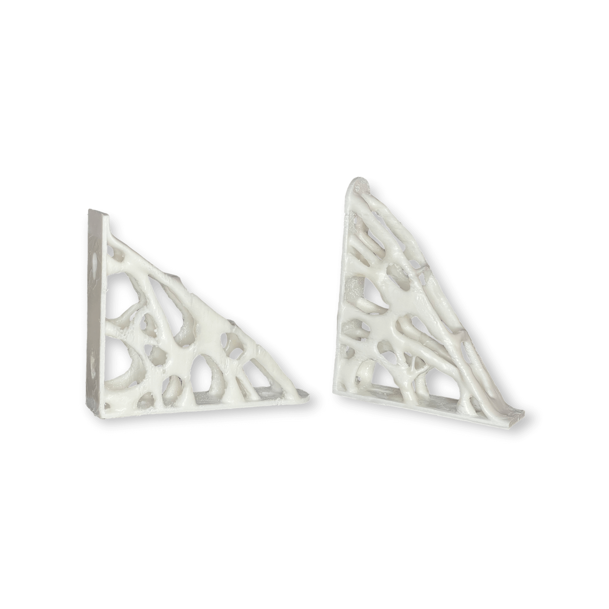 3D Printed Generative Designed Shelf Support2.PNG