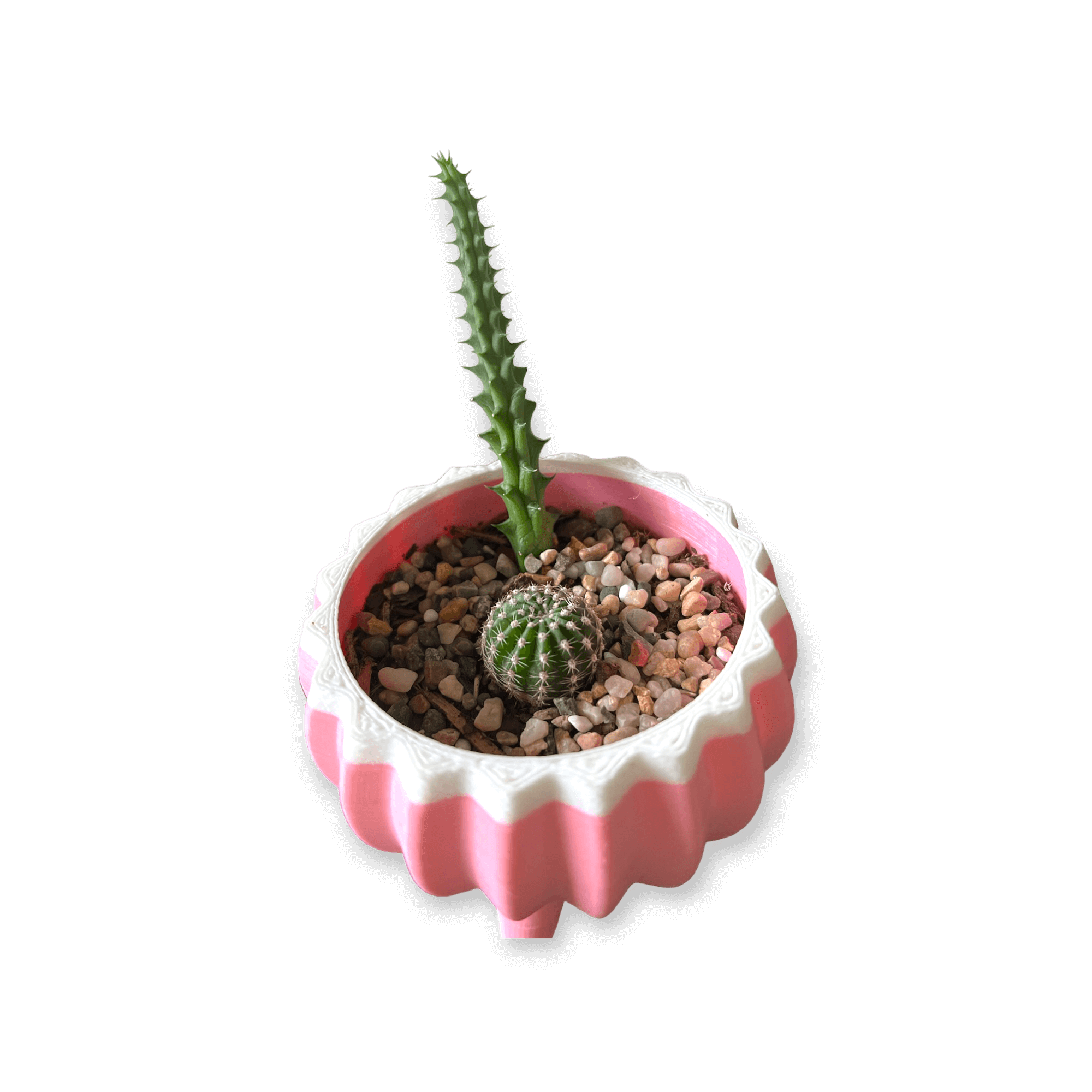 Pink and White 3D Leg Planter.png