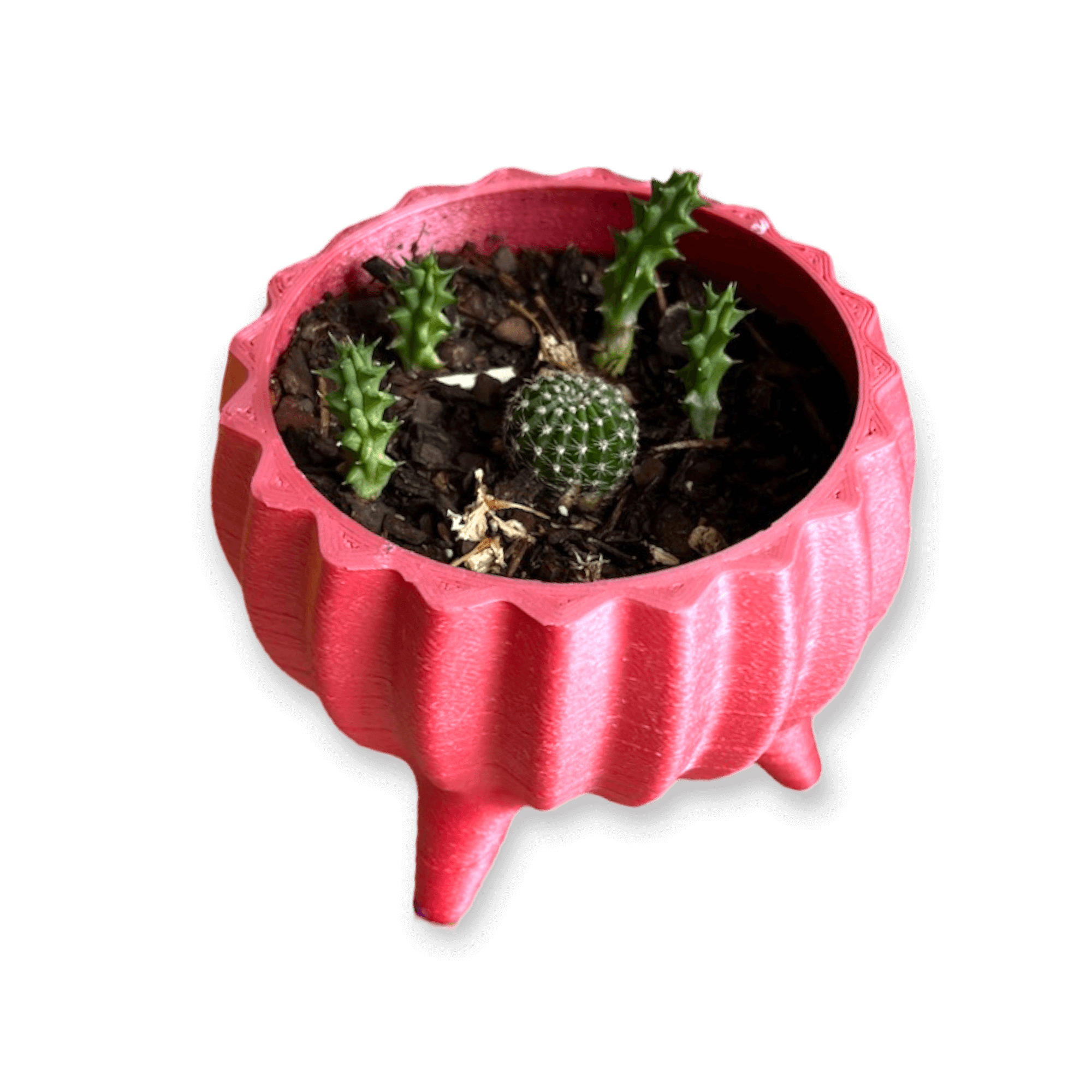 Silk Red 3D Filament 4 leg planter.png