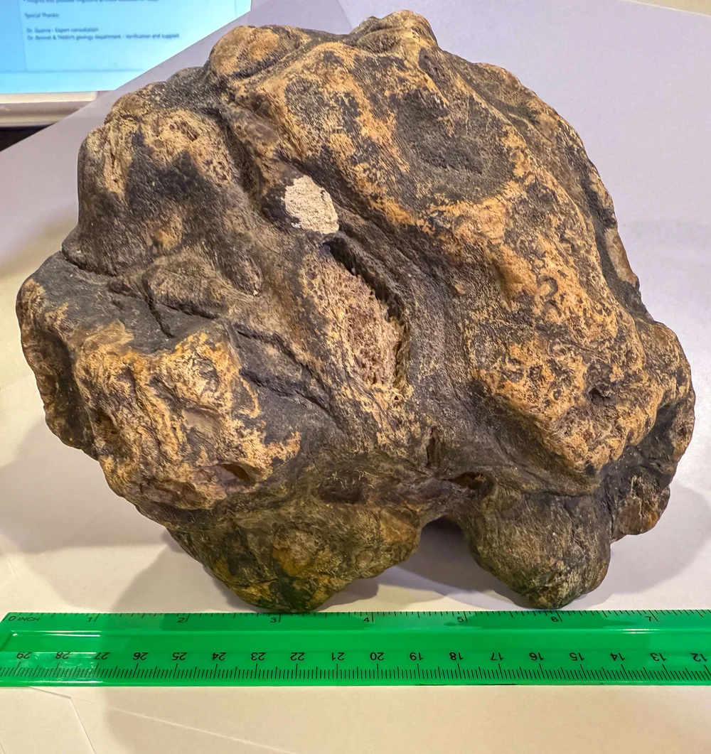 Primate Fossil Found in Texas1.JPG