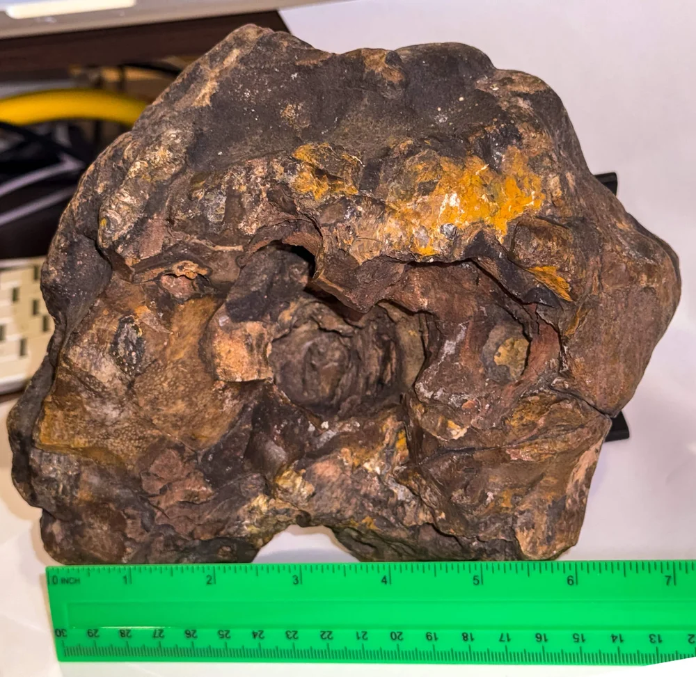 Primate Fossil Found in Texas36.JPG