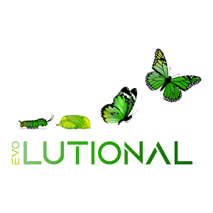 Evolutional Ltd