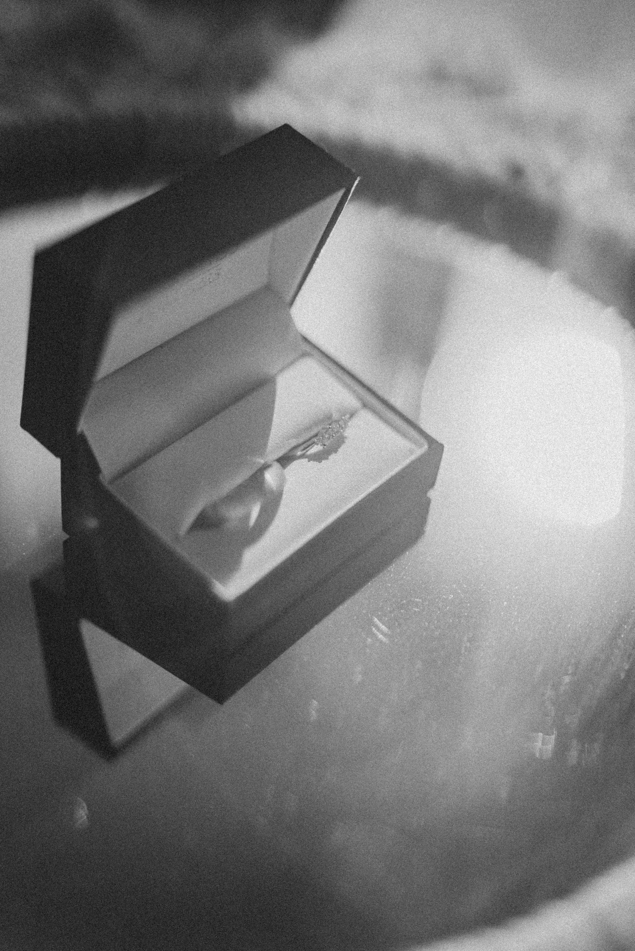 L + D Sneak Peek-13.jpg