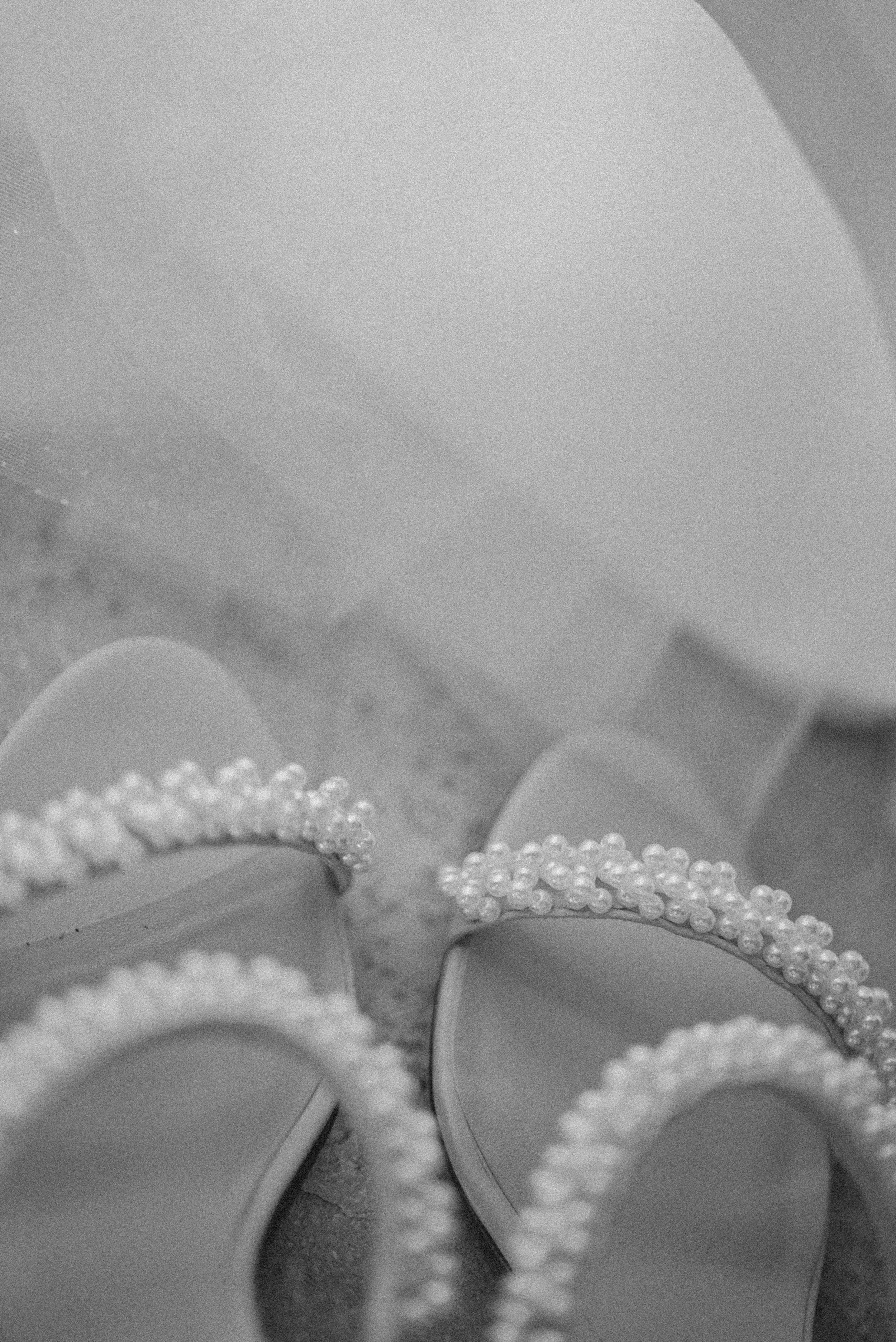 L + D Sneak Peek-19.jpg