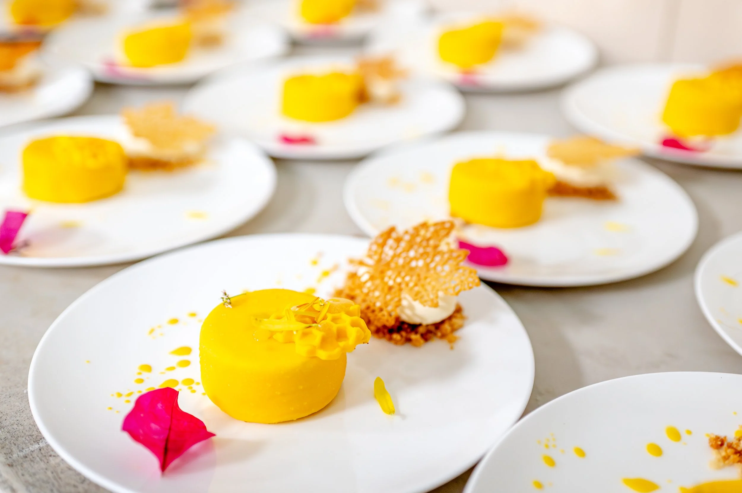 DCV Passover 2025-306.jpg