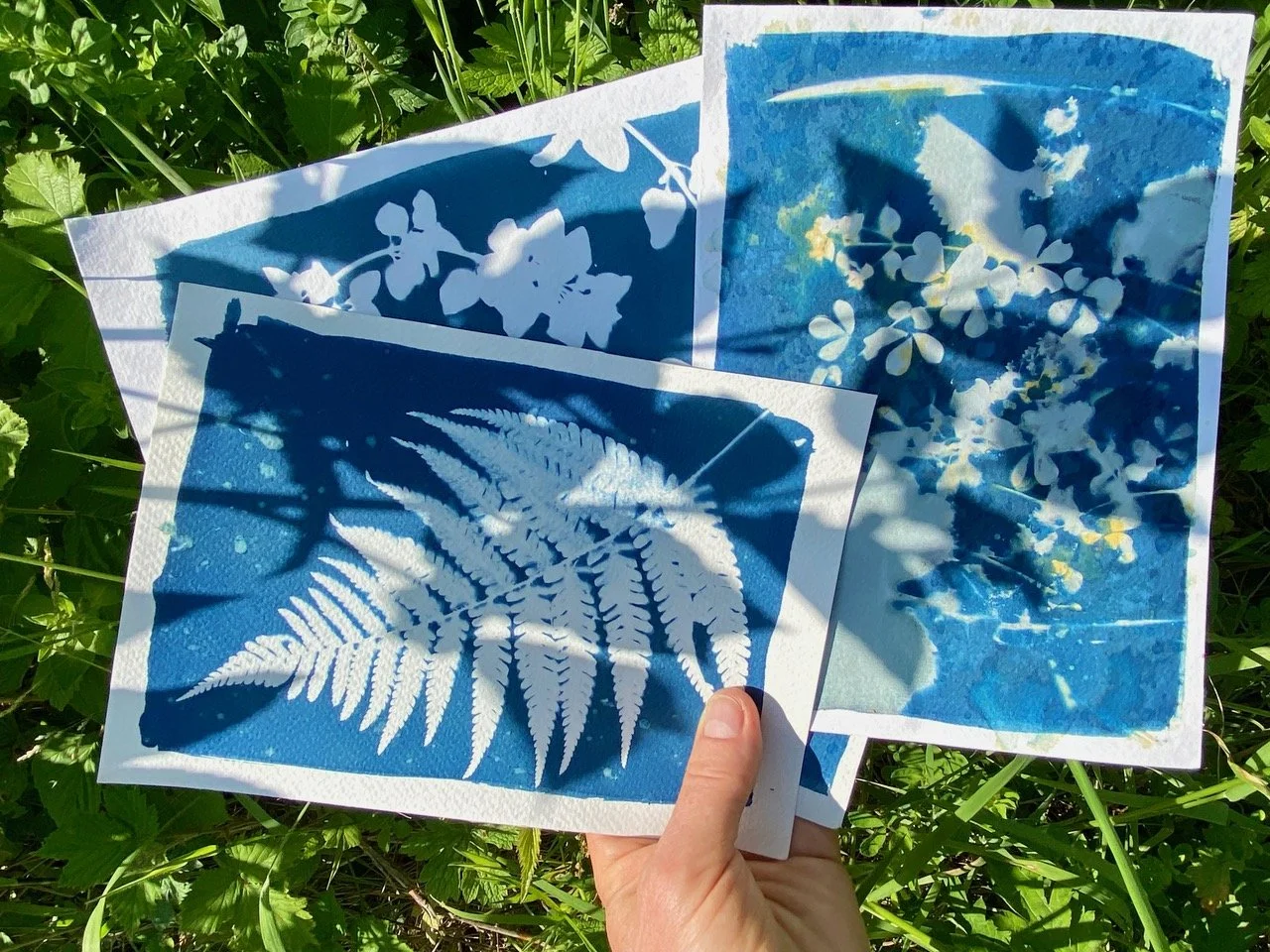 Cyanotype.jpeg