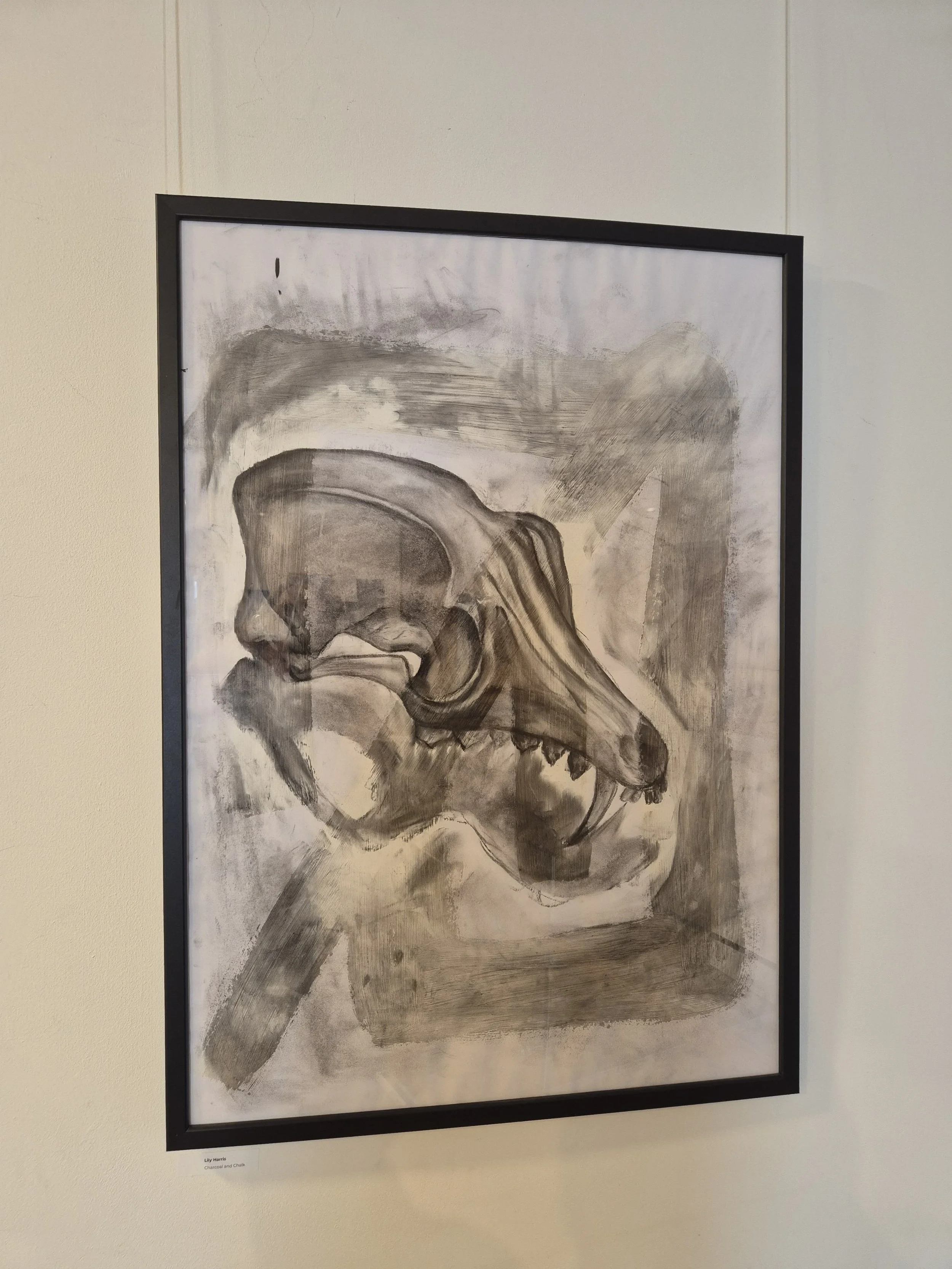 Lily Harris charcoal and chalk drawing.jpeg