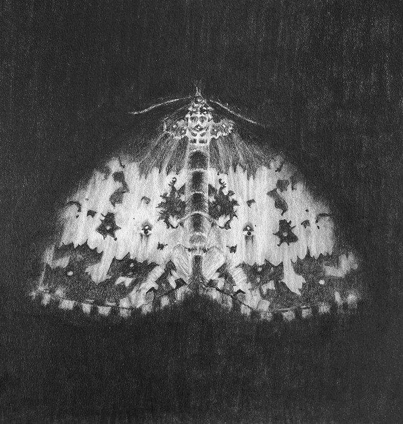 MOTH 1.jpg