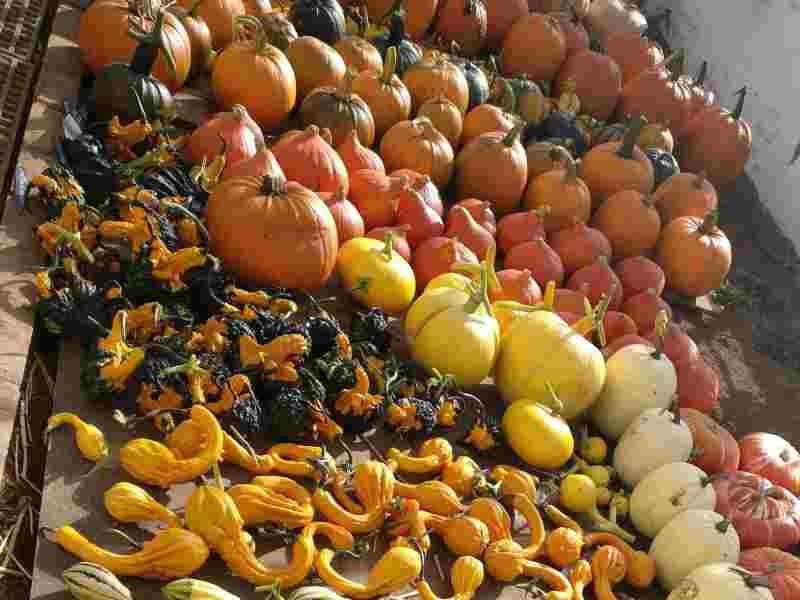 Half term workshop over 13's - making for Hallowe'en - 22nd October