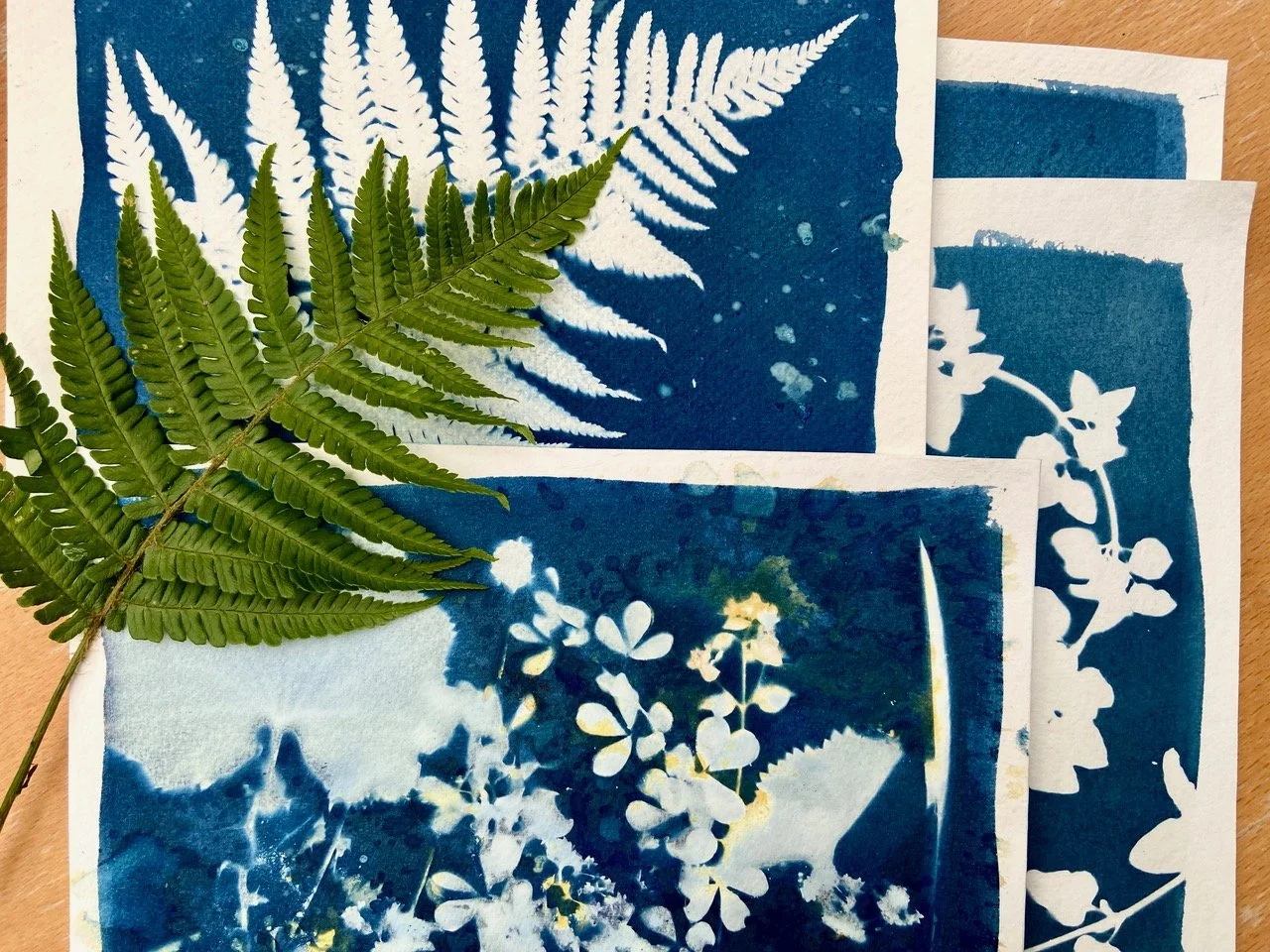 A fern leaf placed over blue and white botanical print papers.