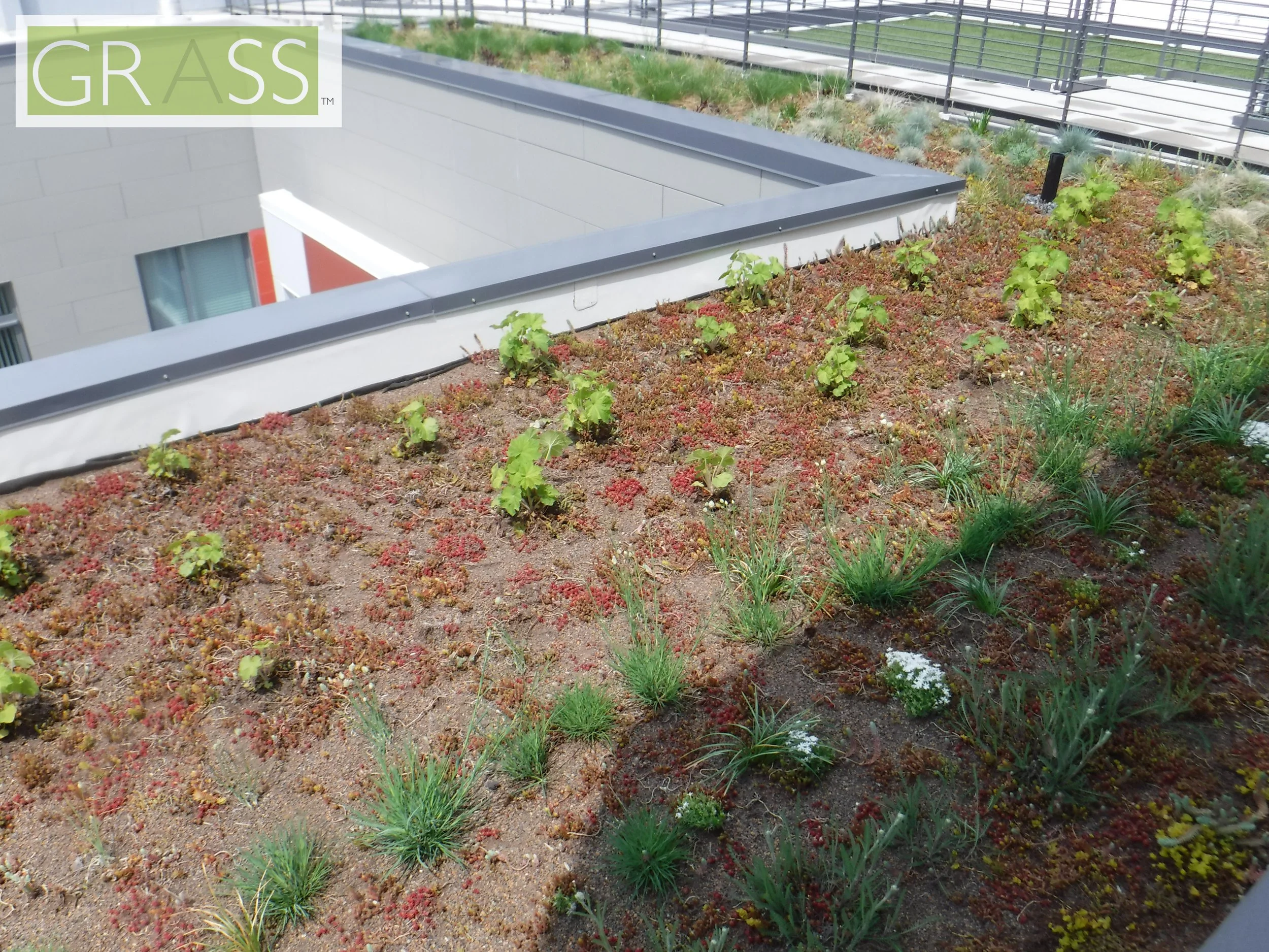 Copy of DSCF8074.JPG