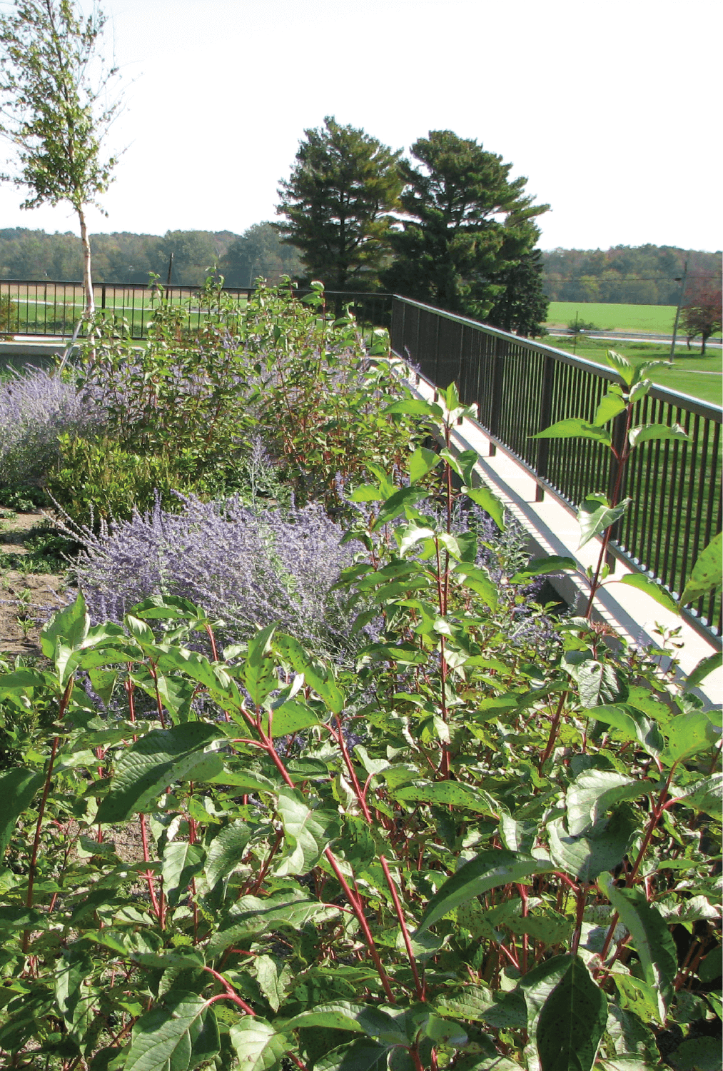 HANOVER ARCH PRODUCTS