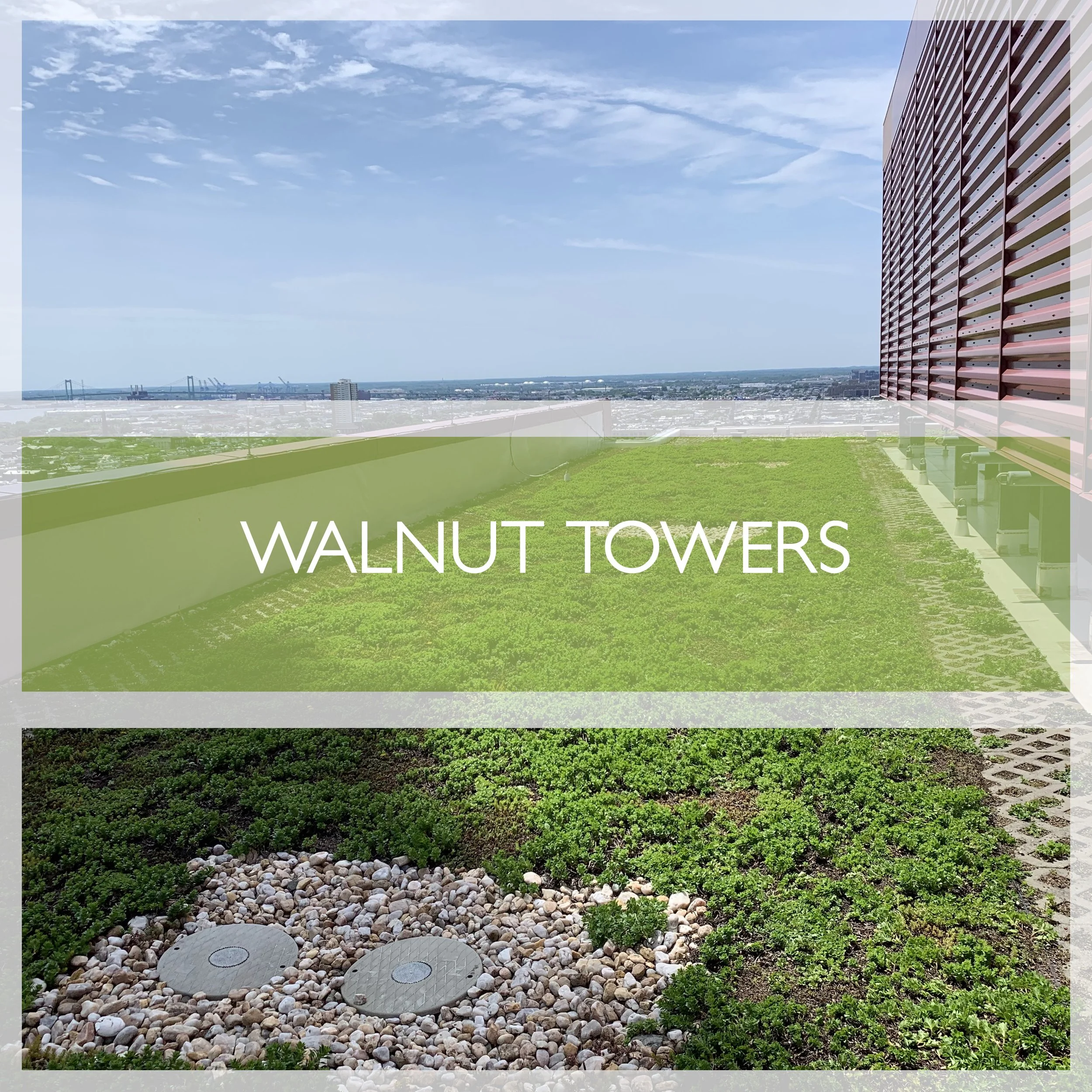 WALNUTTOWER.jpg