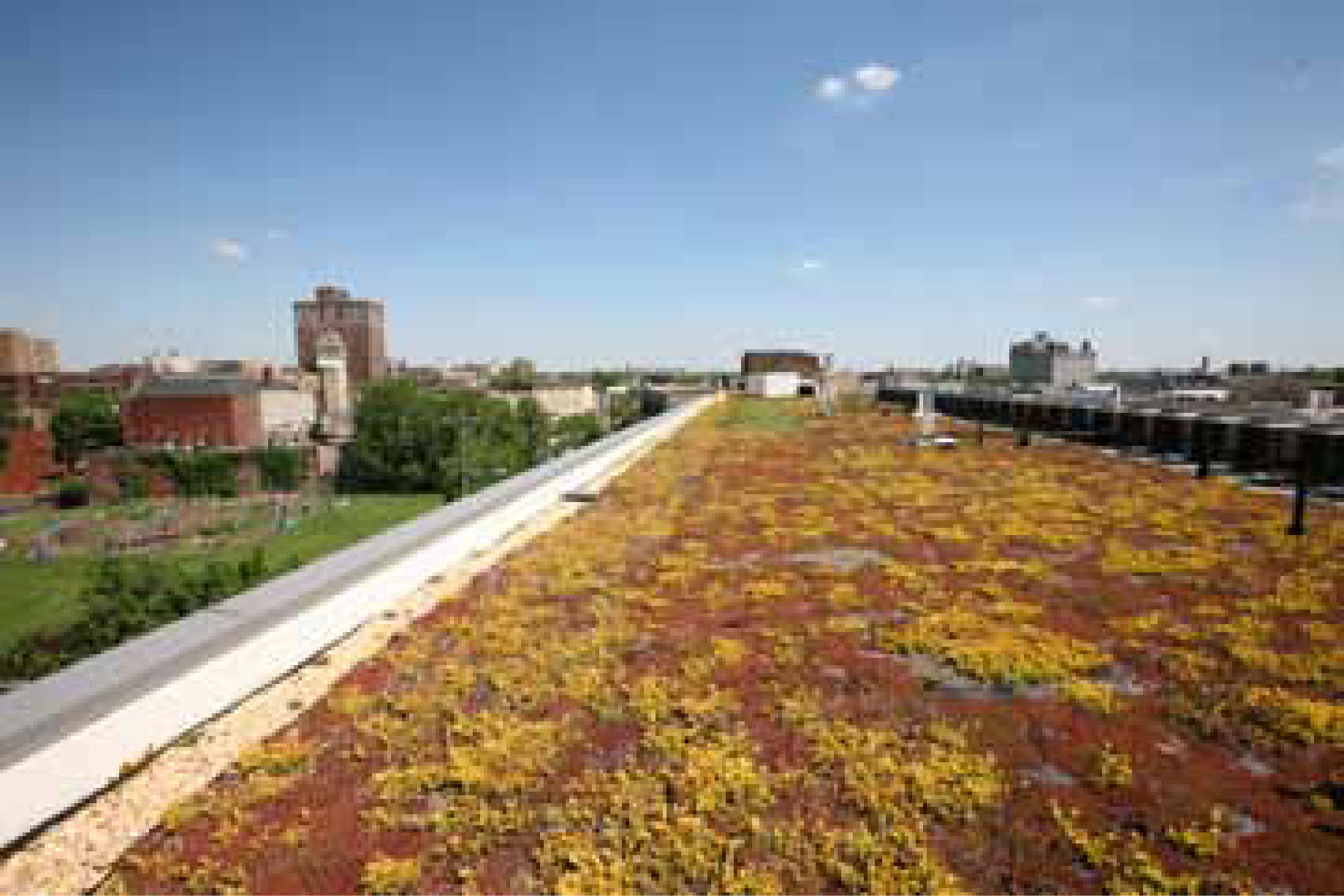 Mt Tabor_project_sheets-2-01.png