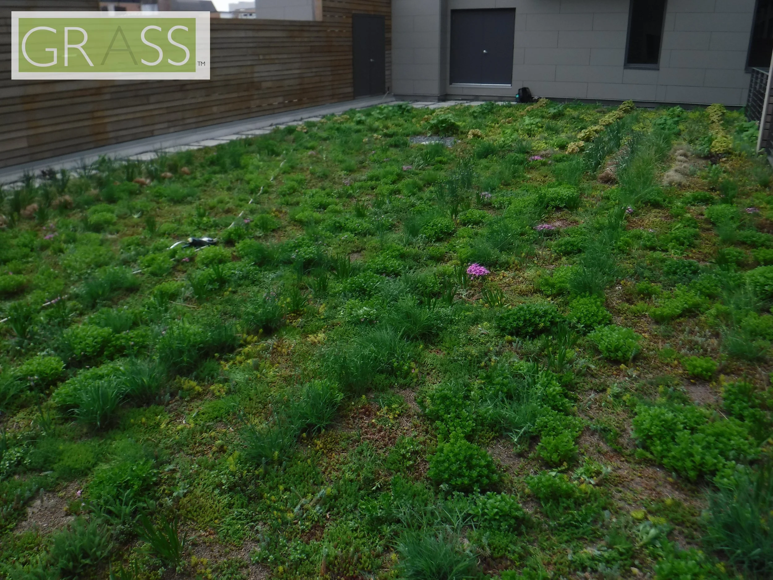 Copy of DSCF8054.JPG